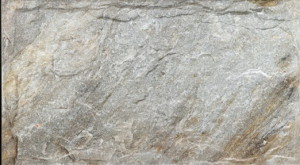 Fuji - gris